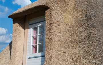 Isombridge thatch roof disadvantages